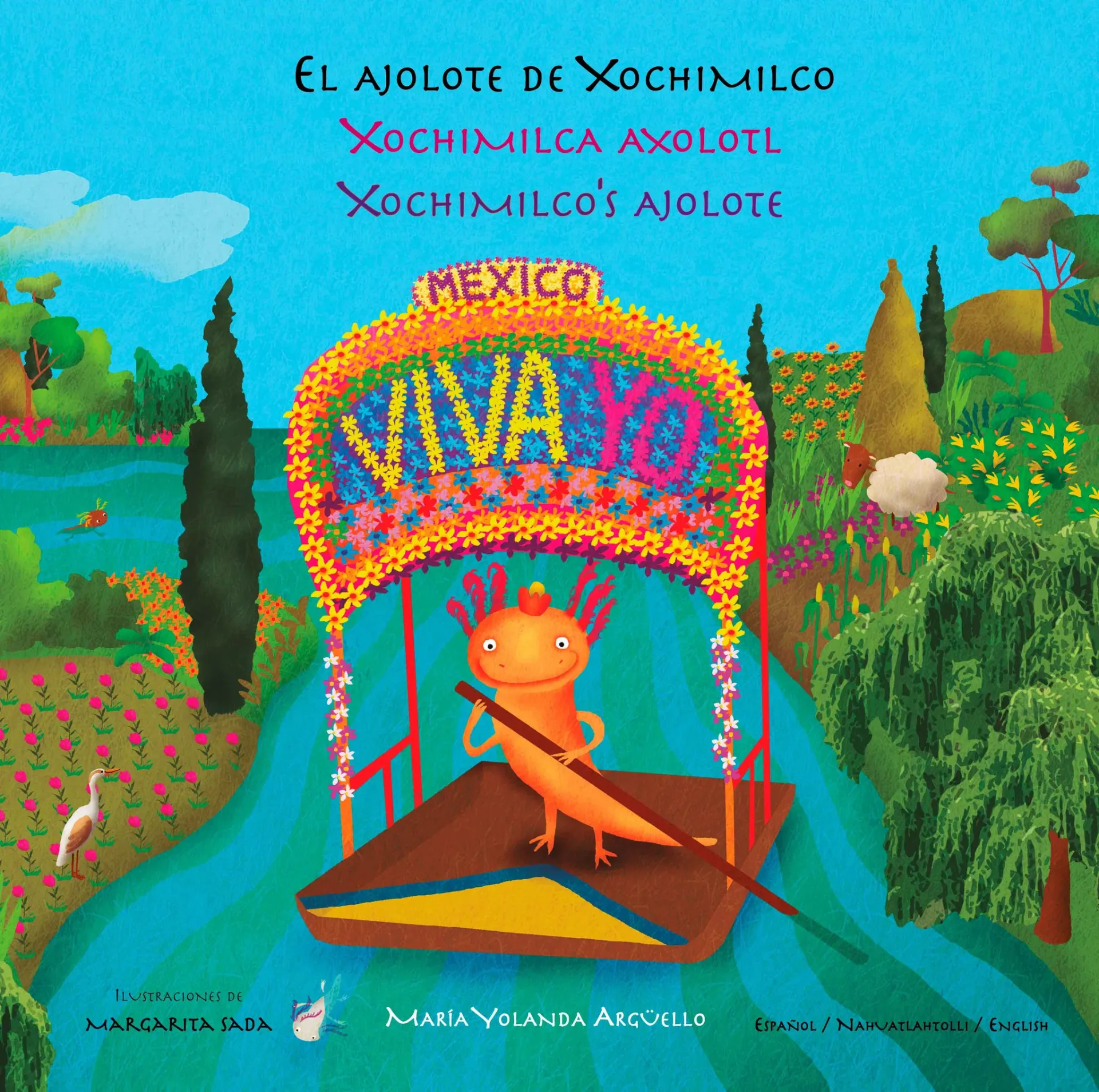 AXOLOTL FROM XOCHIMILCO.
