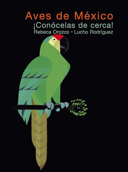 BIRDS, GET TO KNOW THEM UP CLOSE!