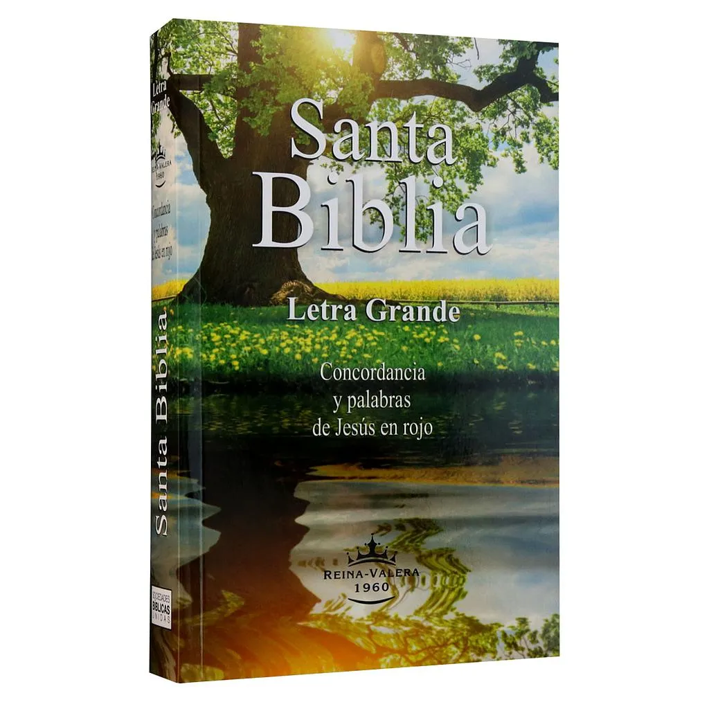 SANTA BIBLIA REINA VALERA 1960 (LETRA GRANDE, RÚSTICA)